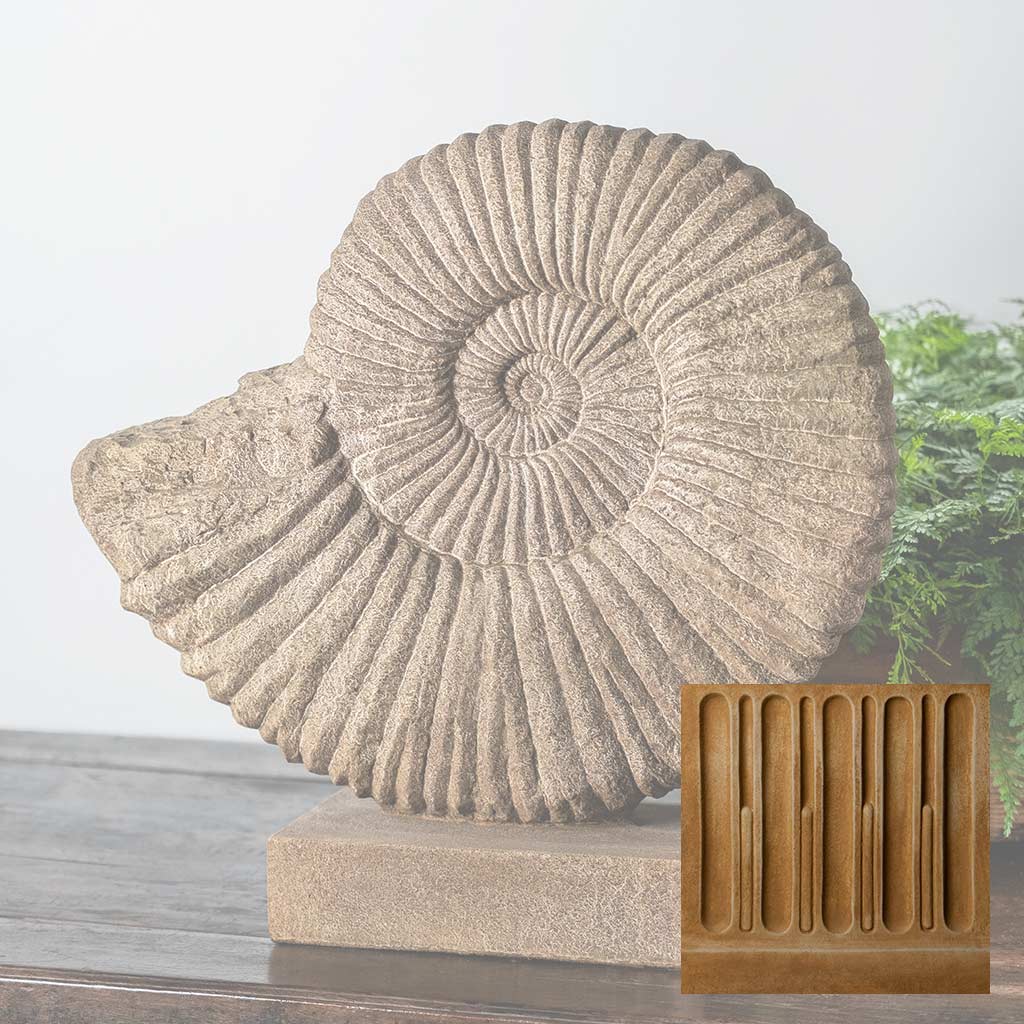 Ammonite, Medium