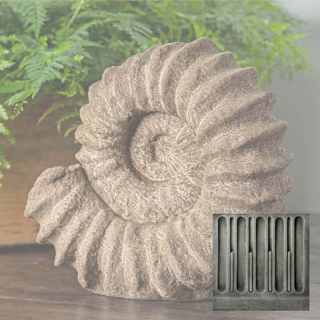 Sea Ammonite