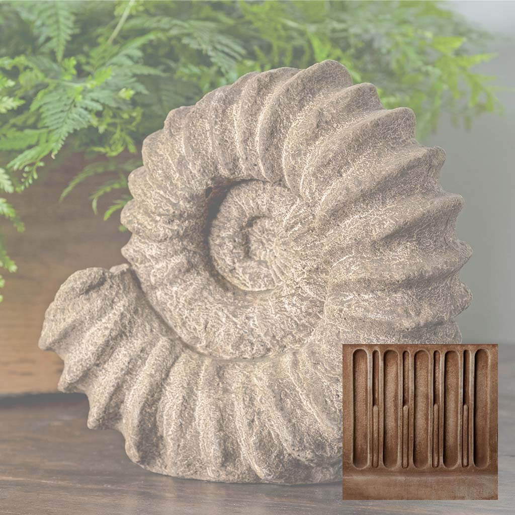 Sea Ammonite