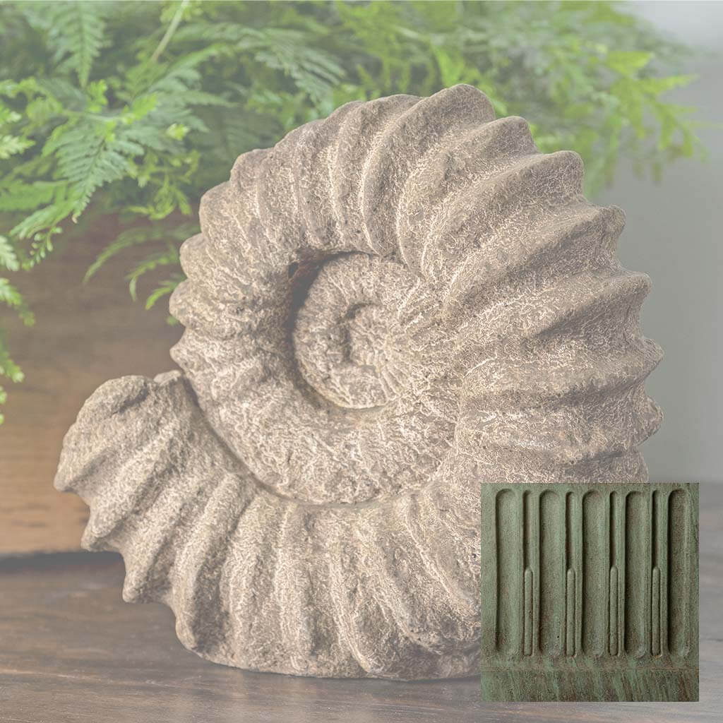 Sea Ammonite