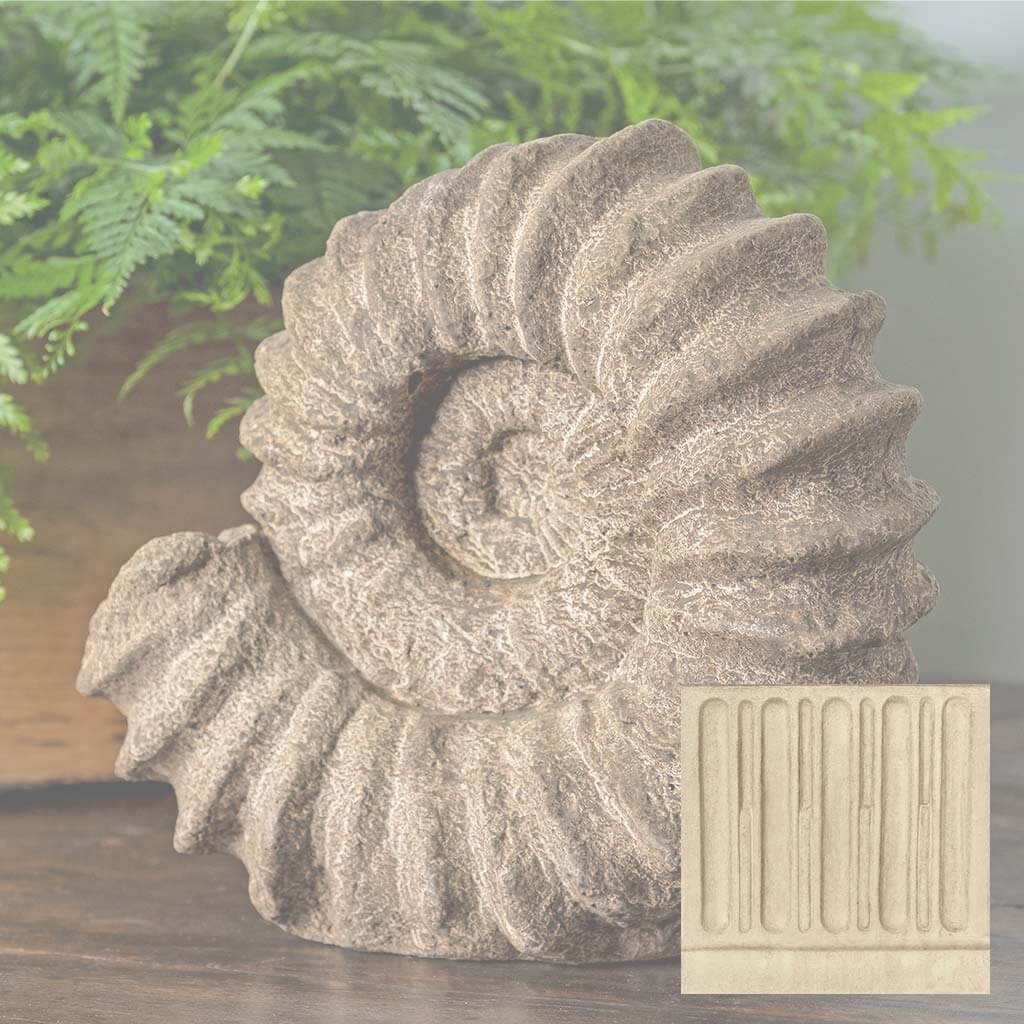 Sea Ammonite