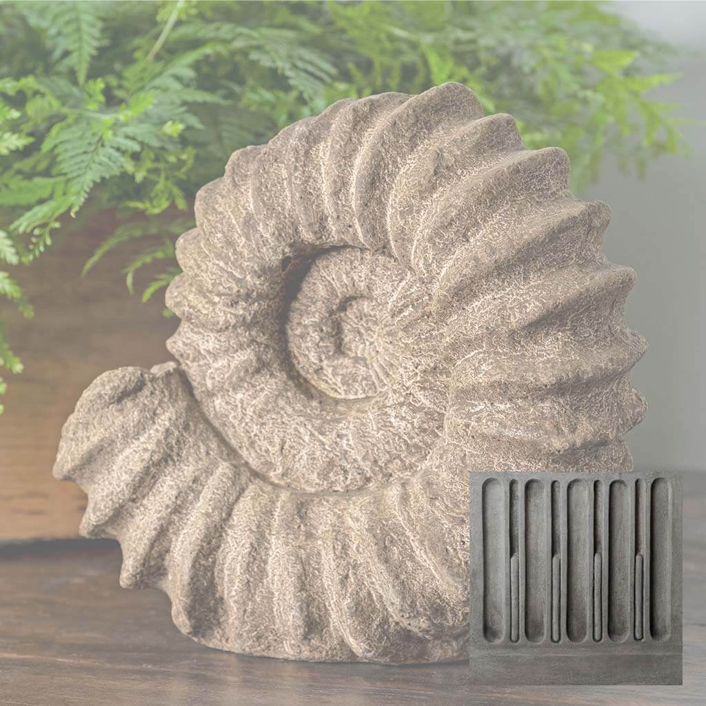 Sea Ammonite