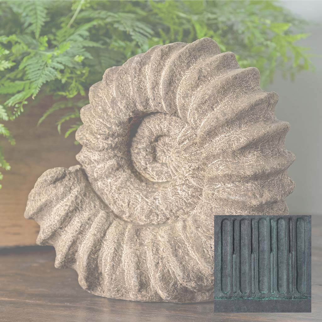 Sea Ammonite