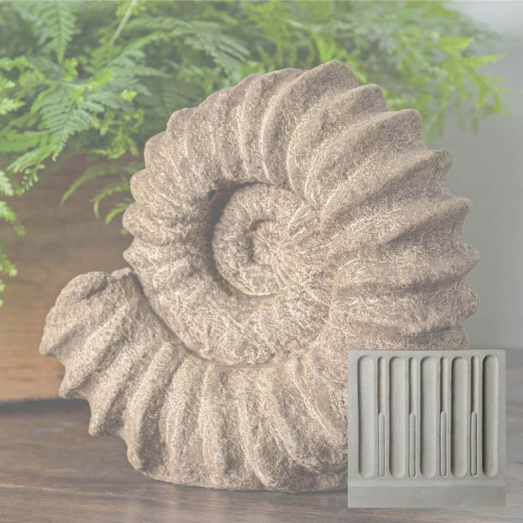 Sea Ammonite
