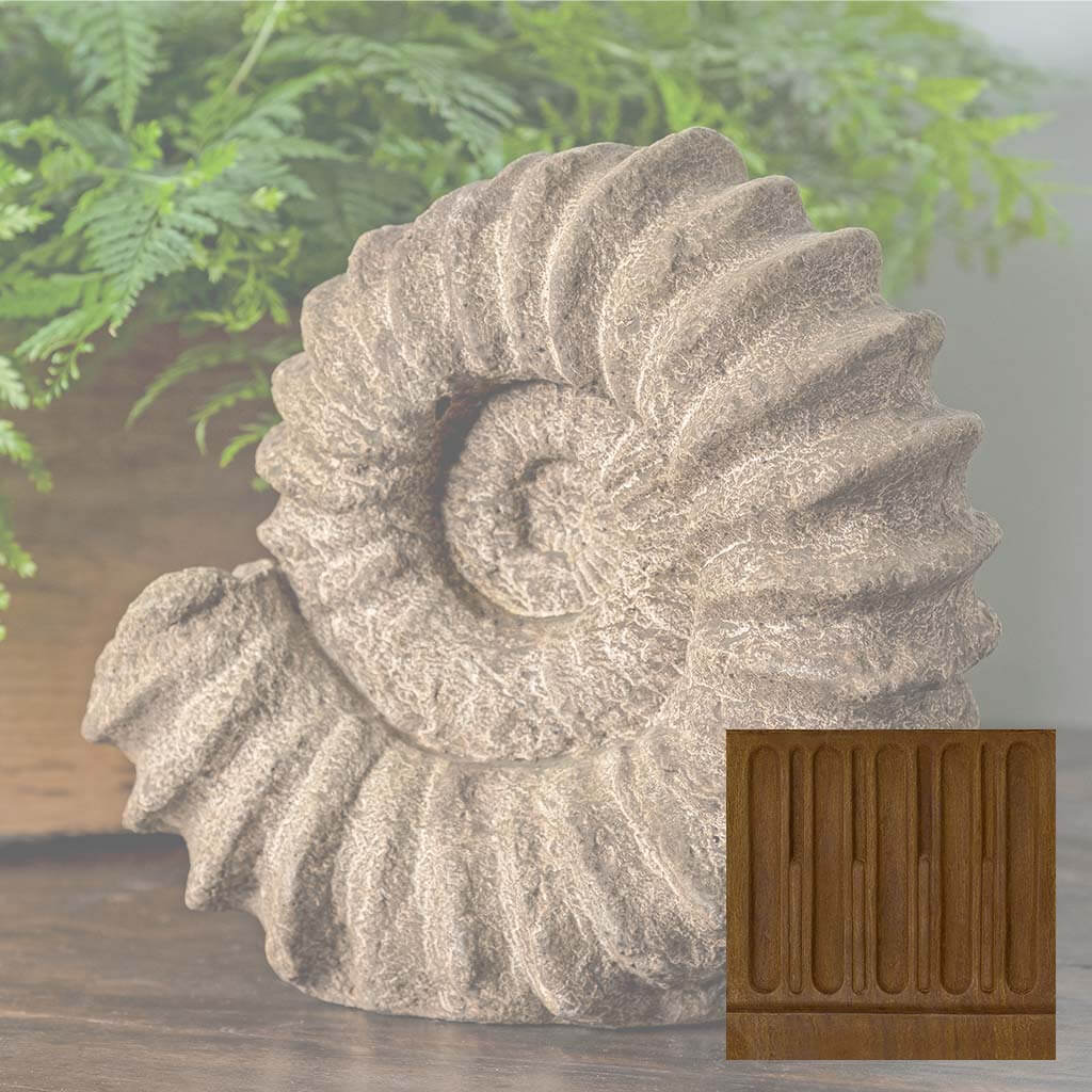 Sea Ammonite