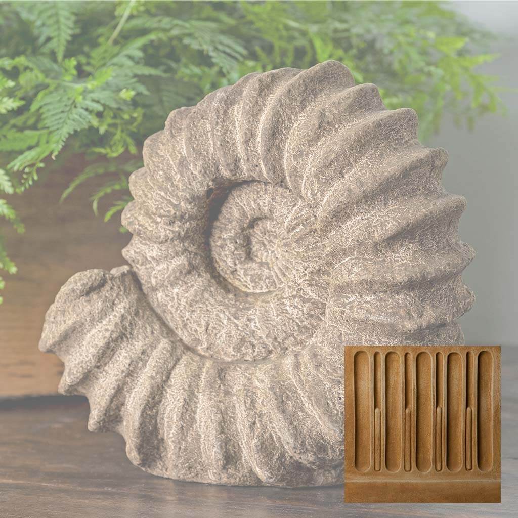 Sea Ammonite