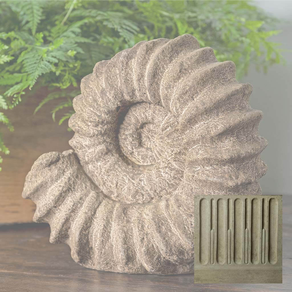 Sea Ammonite