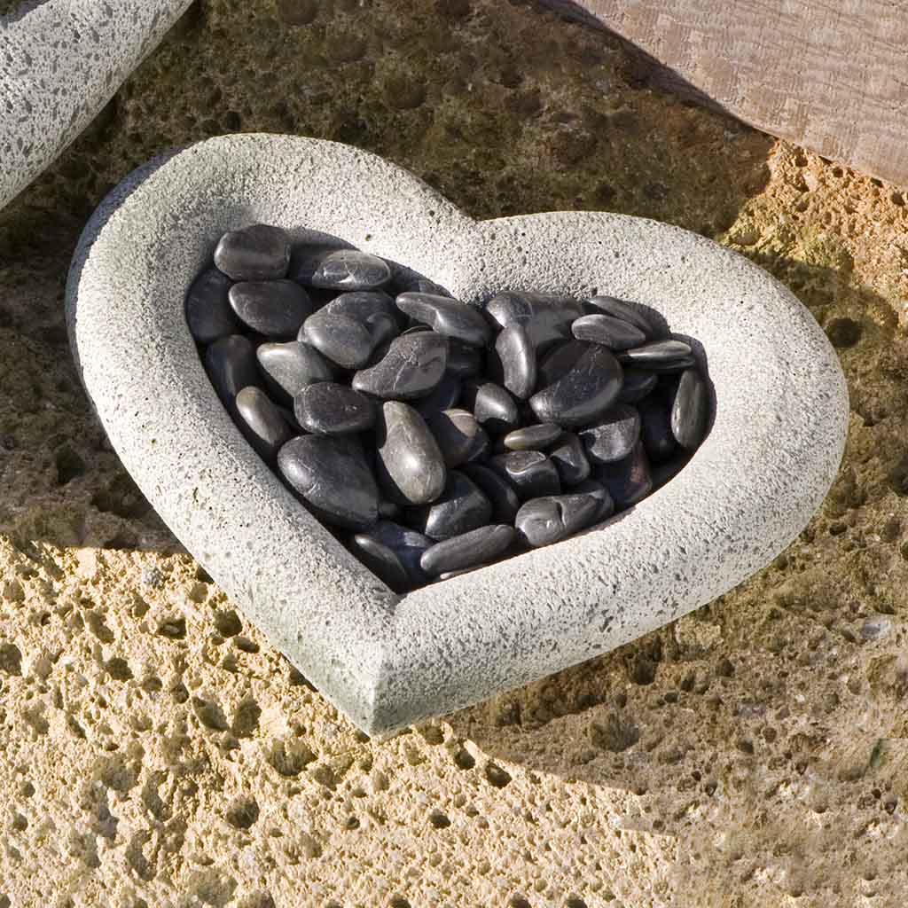 Heart Shell, Small