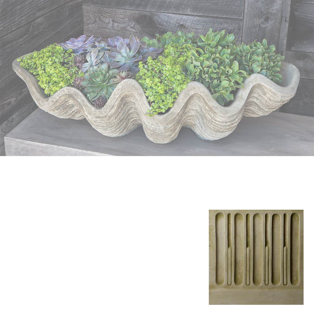 South Seas Shell Planter, Large