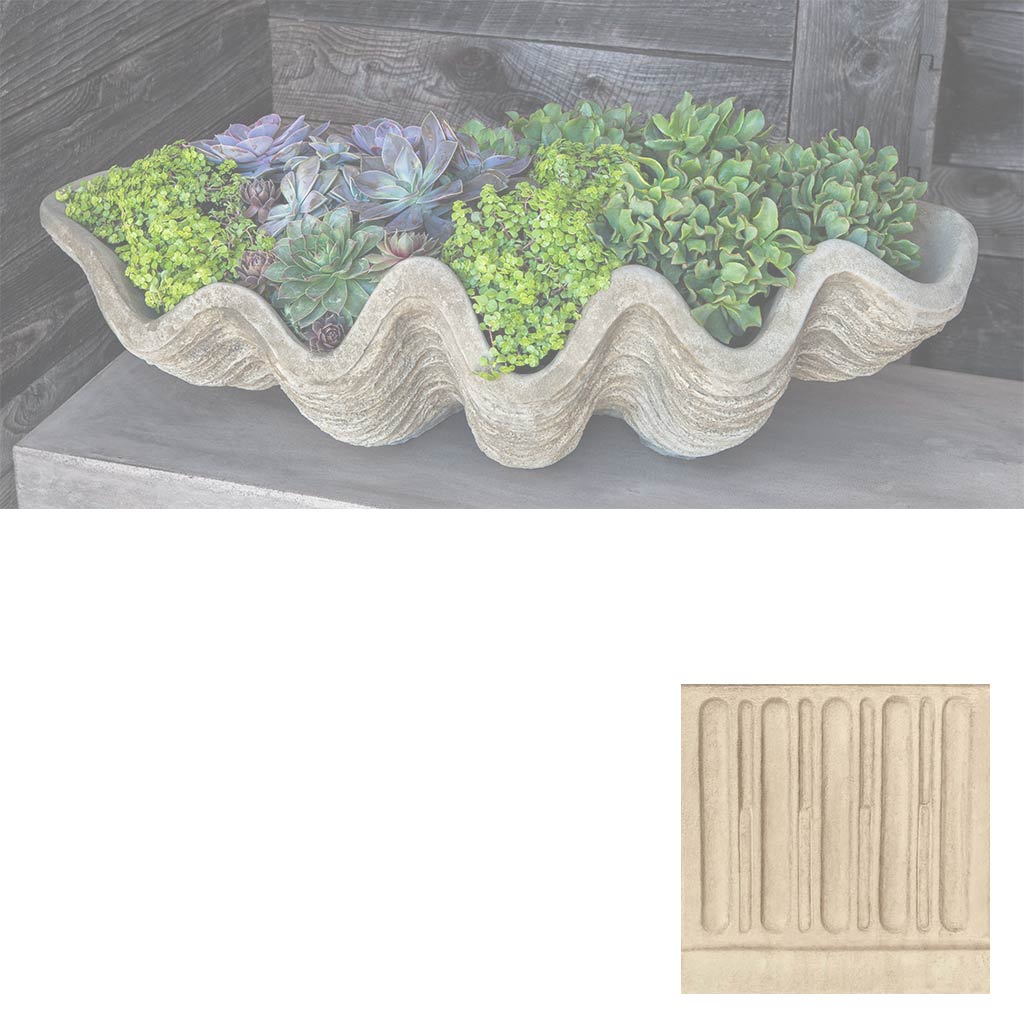 South Seas Shell Planter, Large