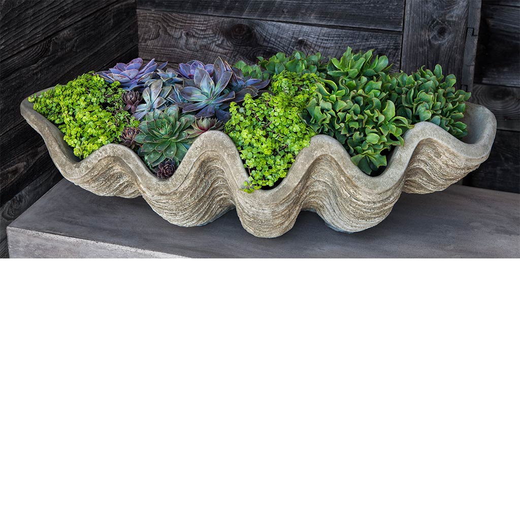 South Seas Shell Planter, Large