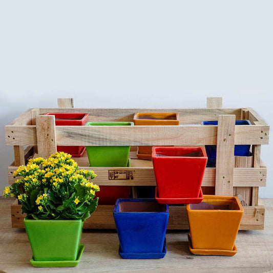 Garden Terrace Lg Brights Crate - Assorted Glaze - S/16