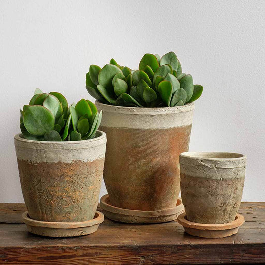Farmer's Pot Saucers  - Cotswold White - S/12