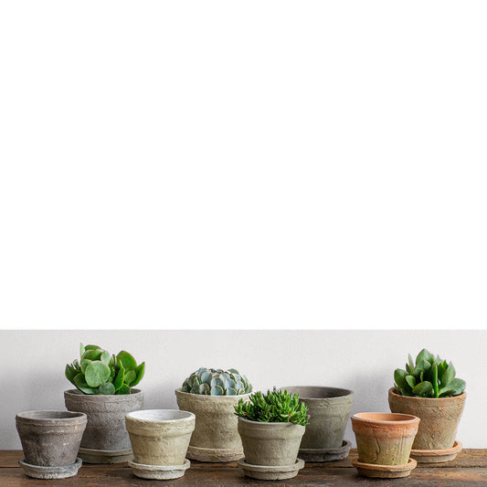 Farmer's Pot Traditional Saucers - Mixed - S/16