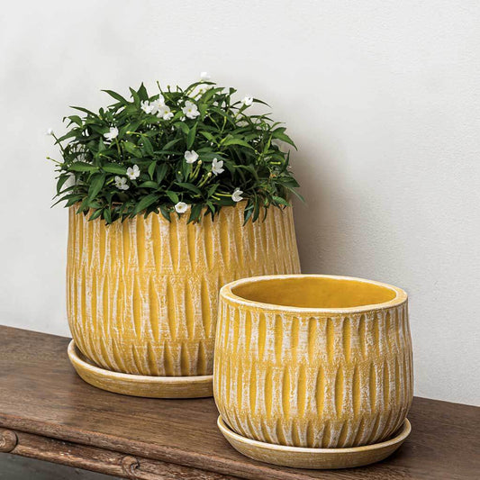 Parabola Large Round Planter - Etched Yellow - S/8