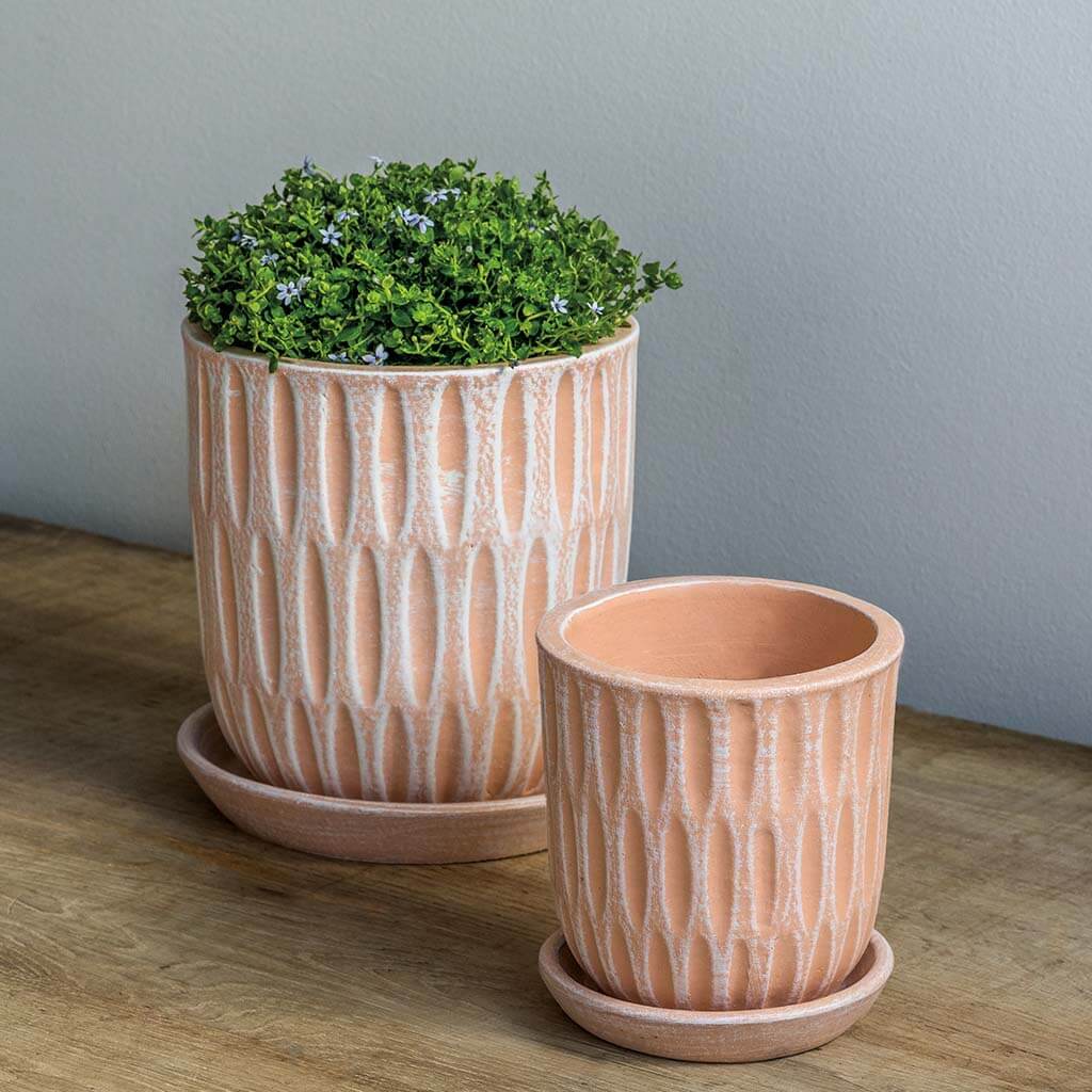 Parabola Planter - Shell Pink - S/8