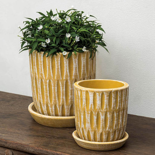 Parabola Planter - Etched Yellow - S/8