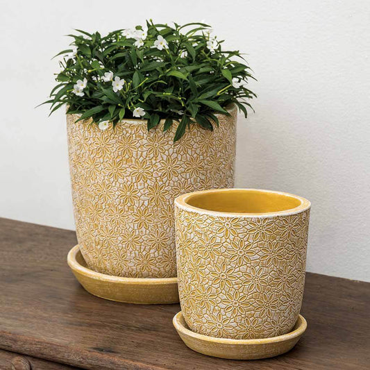 Marguerite Sm Round Planter - Etched Yellow - S/8