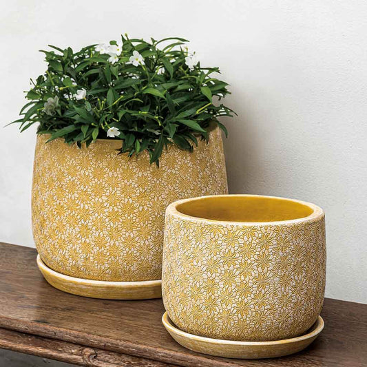Marguerite Large Round Planter - Etched Yellow - S/8