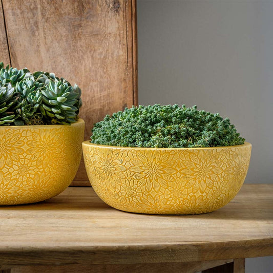 Chrysanthemum Bowl - Goldenrod - S/4
