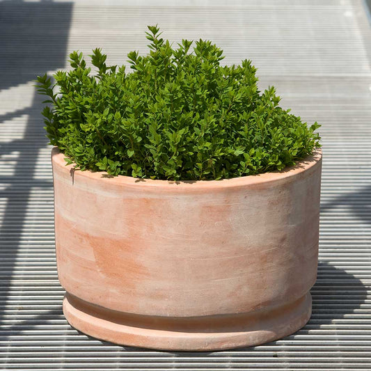 Amelie Planter - Terra Cotta - S/2