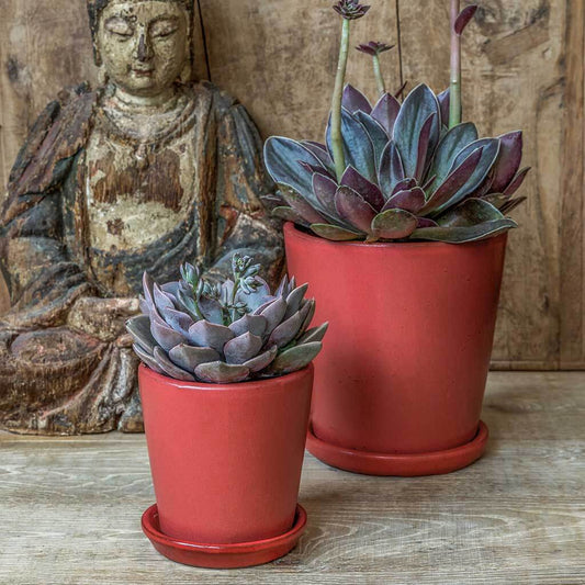 Nikki Planter - Coral - S/16