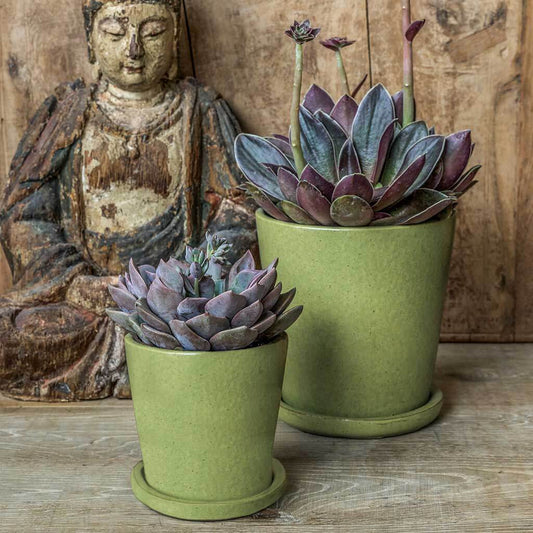 Nikki Planter - Kelp Green - S/16