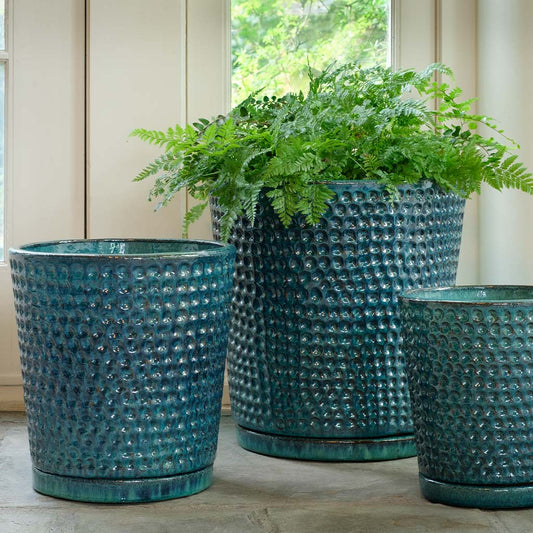 I/O Coin Pot - Aqua - S/3