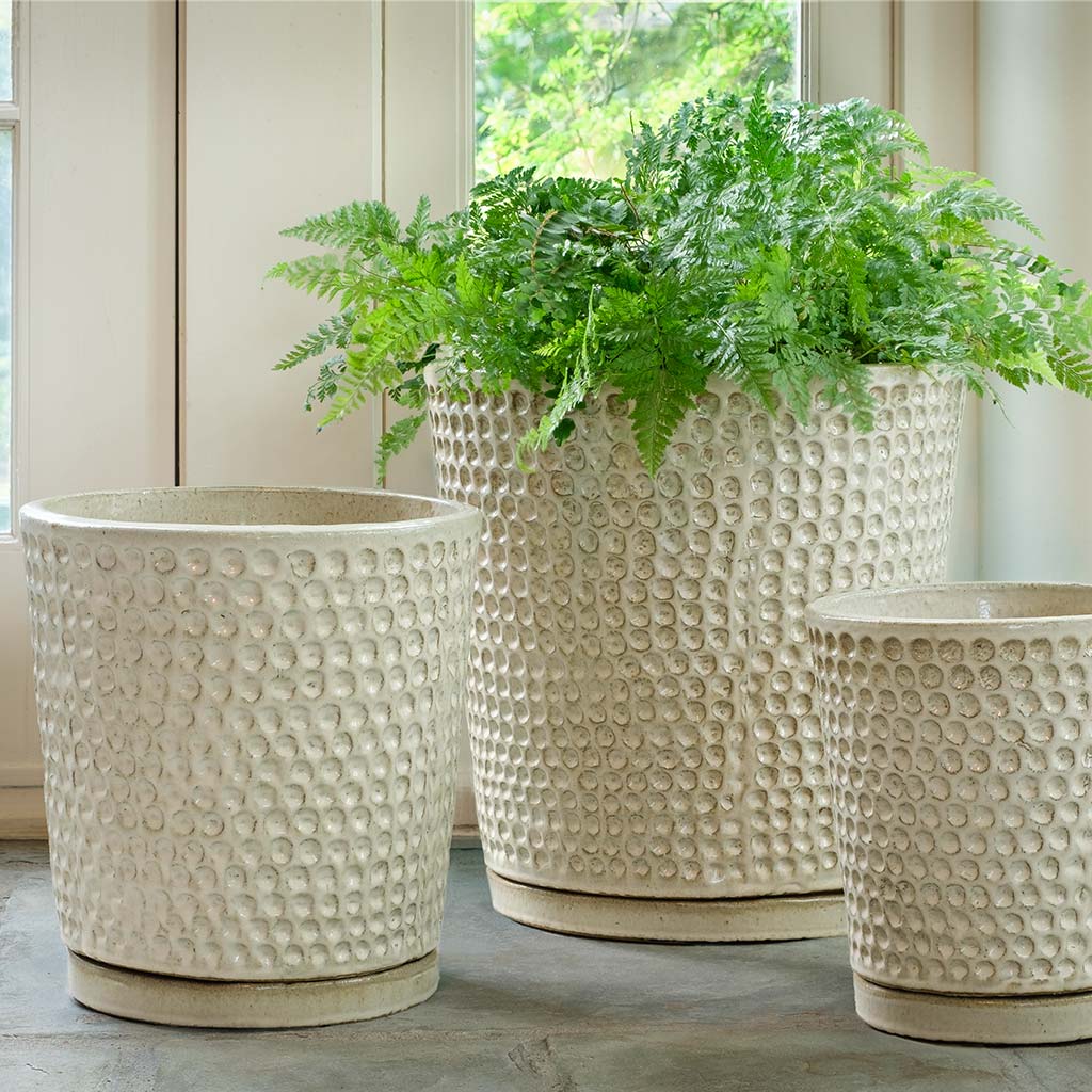 I/O Coin Pot - Cream - S/3