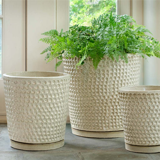 I/O Coin Pot - Cream - S/3