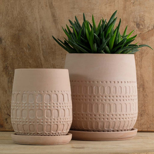 Mojave Planter - Shell - S/4