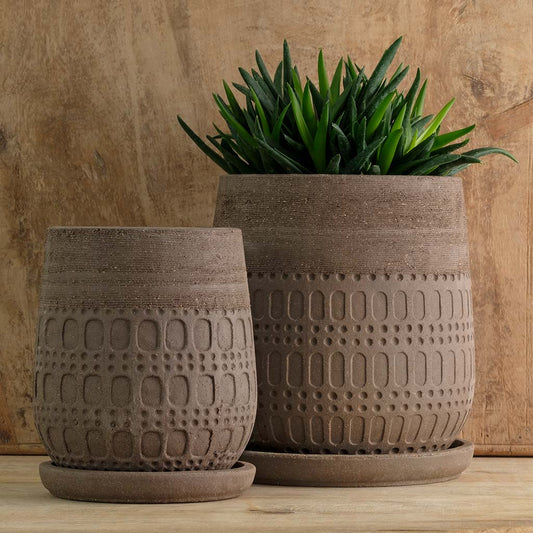 Mojave Planter - Carob - S/4