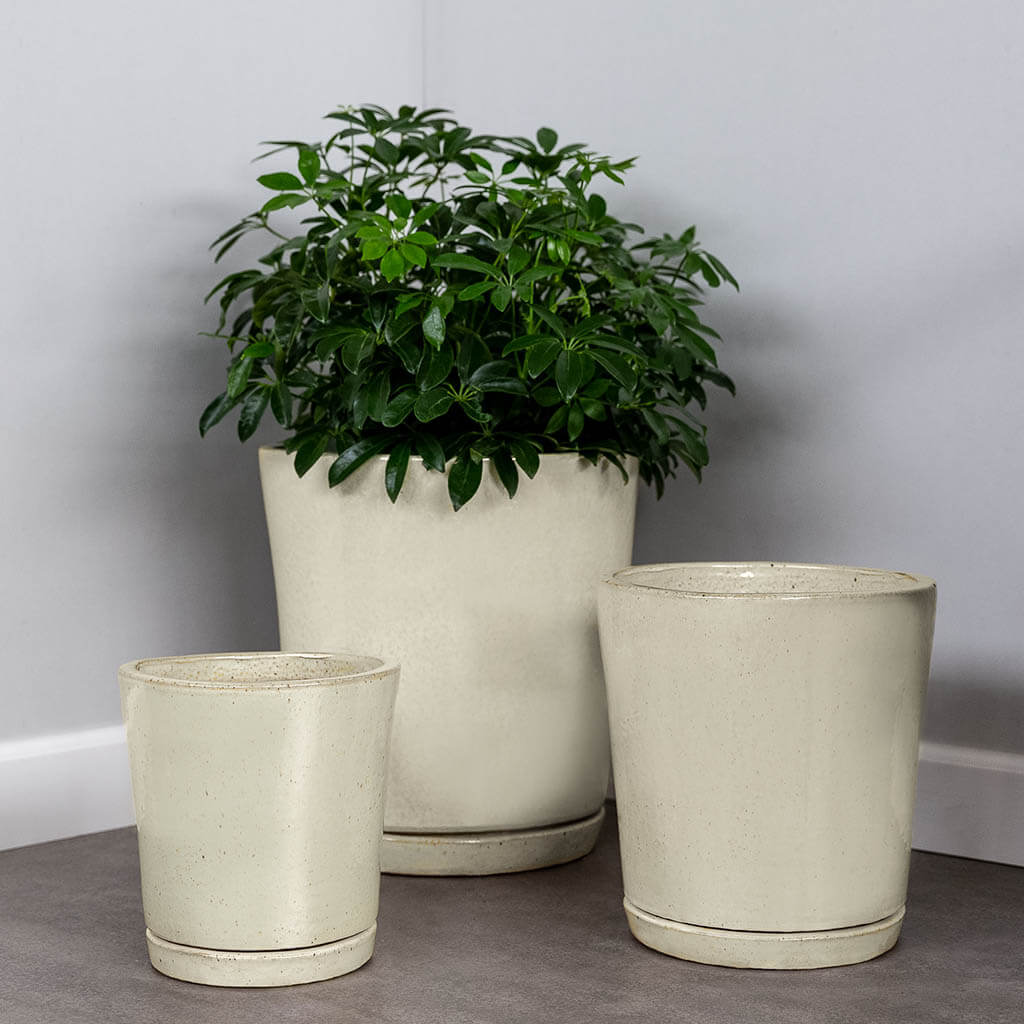 I/O Tapered Cylinder - Cream - S/3