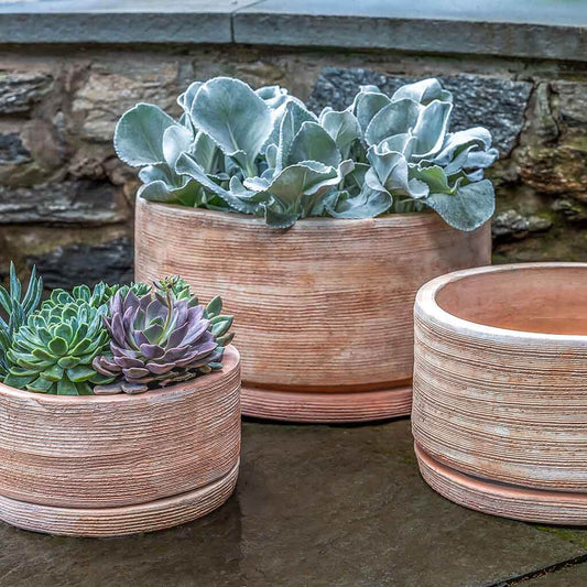 Sgraffito Planter, Low - Terra Cotta - S/3