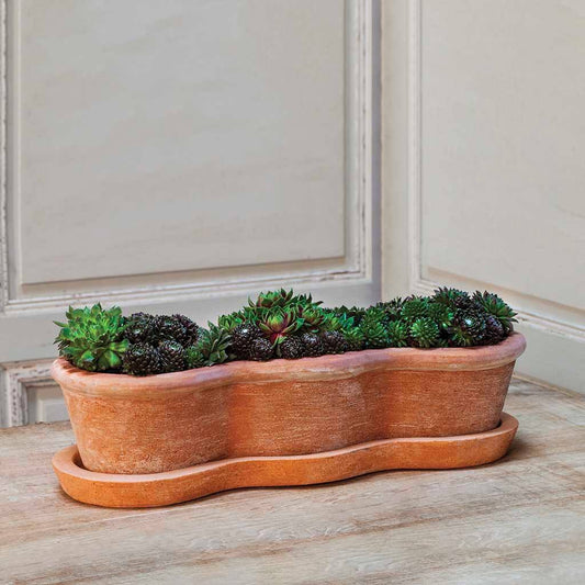 Costa Planter - Terra Nova - S/3