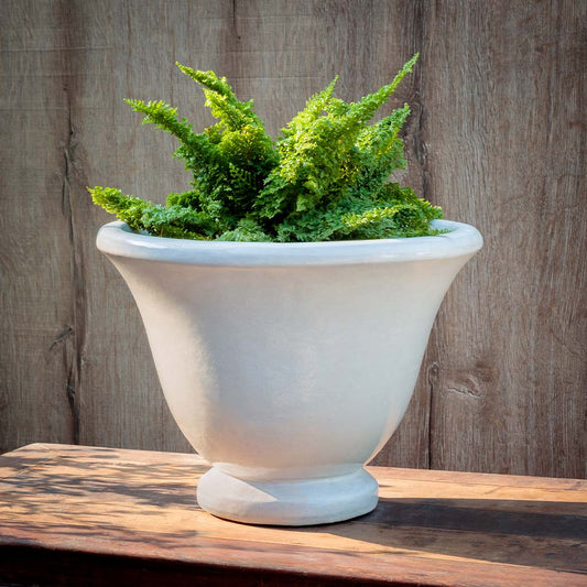 Caterine Urn - Antique White - S/1