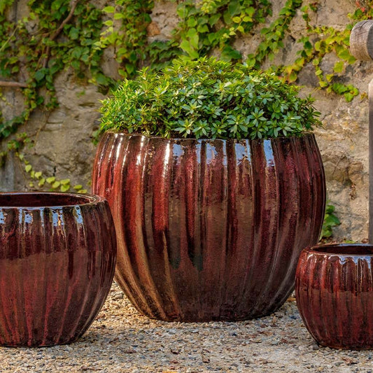 Cabernet Planter - Bordeaux - S/3