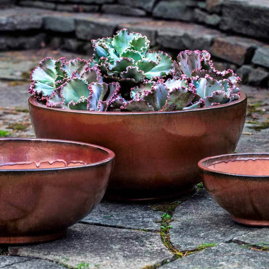 Yuma Bowl - Maple Red - S/3