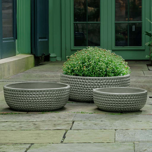 Coin Bowl - Pewter Green - S/3