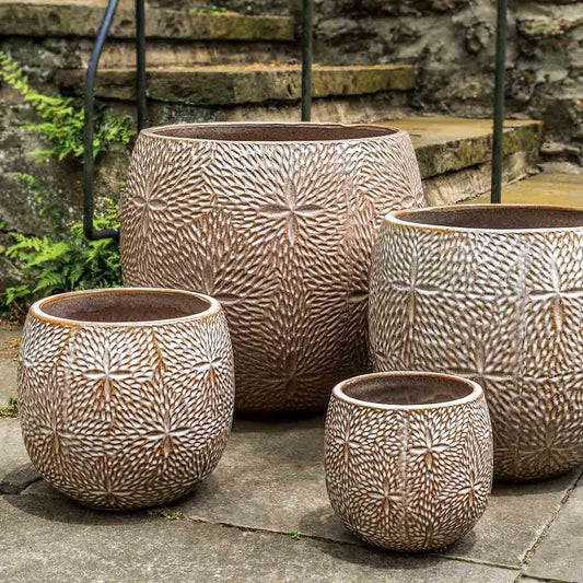 Sand Dollar Planter - Cafe Au Lait - S/4