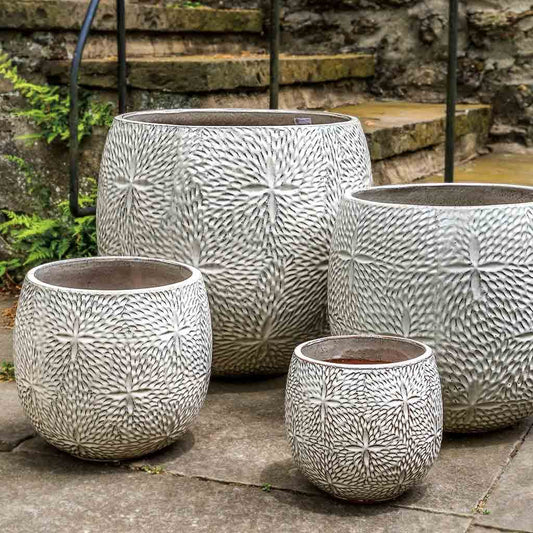 Sand Dollar Planter - Cream - S/4
