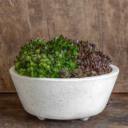 Geo Round Footed Planter - Terrazzo White - S/4