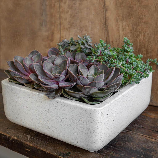 Geo Square Footed Planter - Terrazzo White - S/4