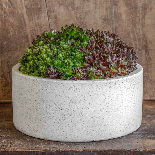 Geo Cylinder Planter - Terrazzo White - S/4