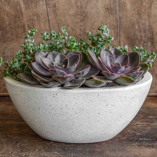 Geo Oval Bowl - Terrazzo White - S/4