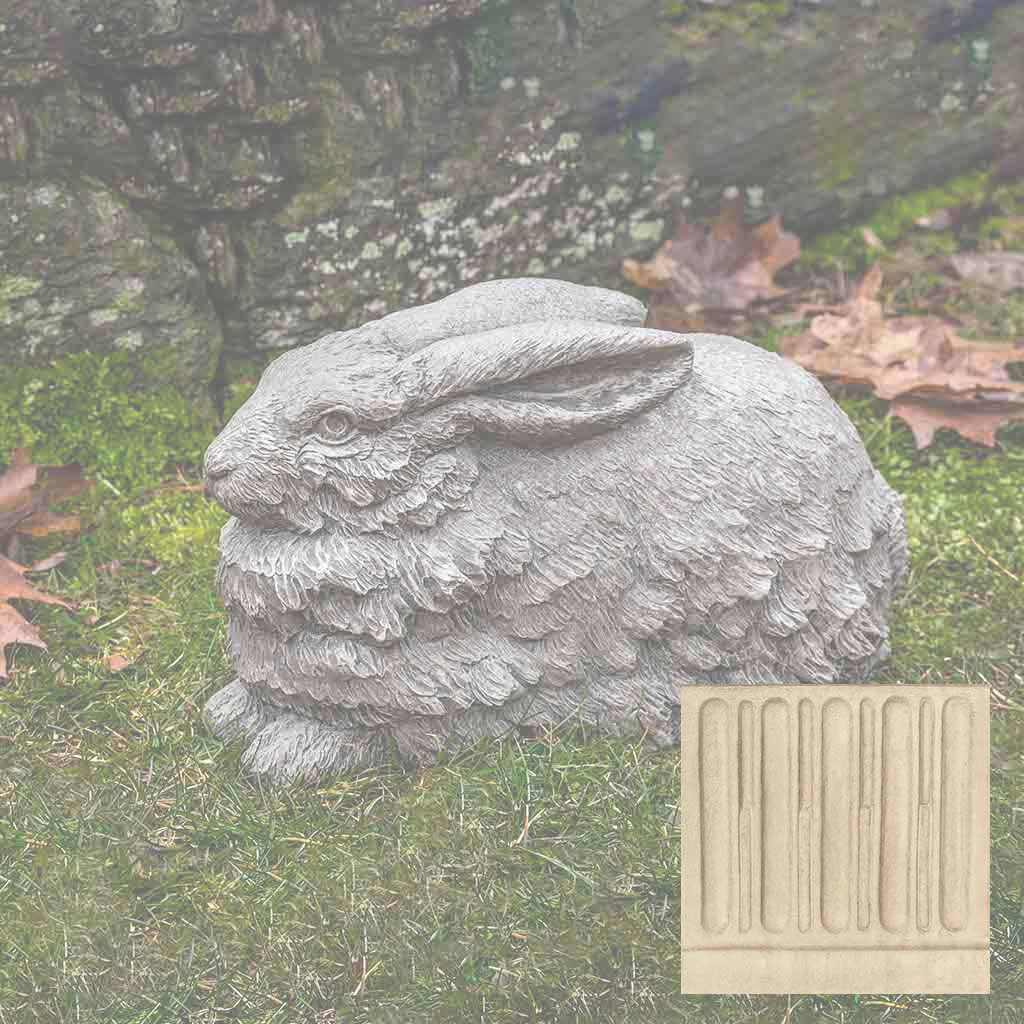 Flemish Hare