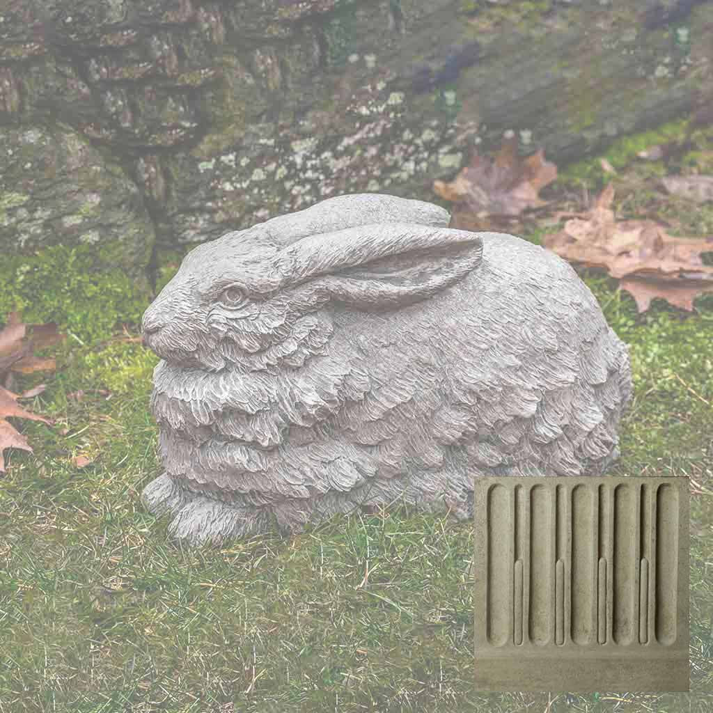 Flemish Hare