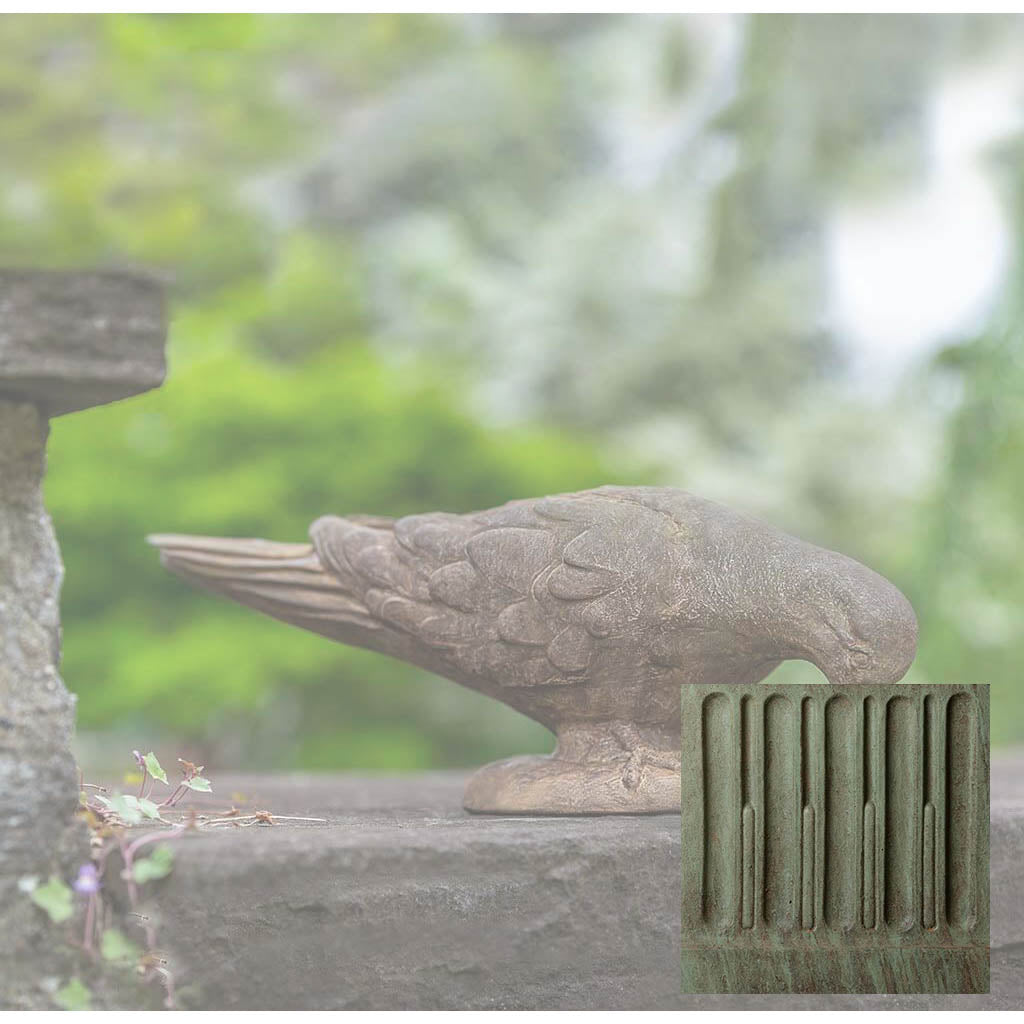 French Dove