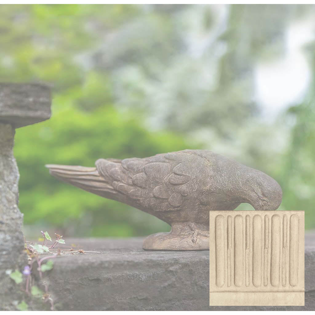French Dove