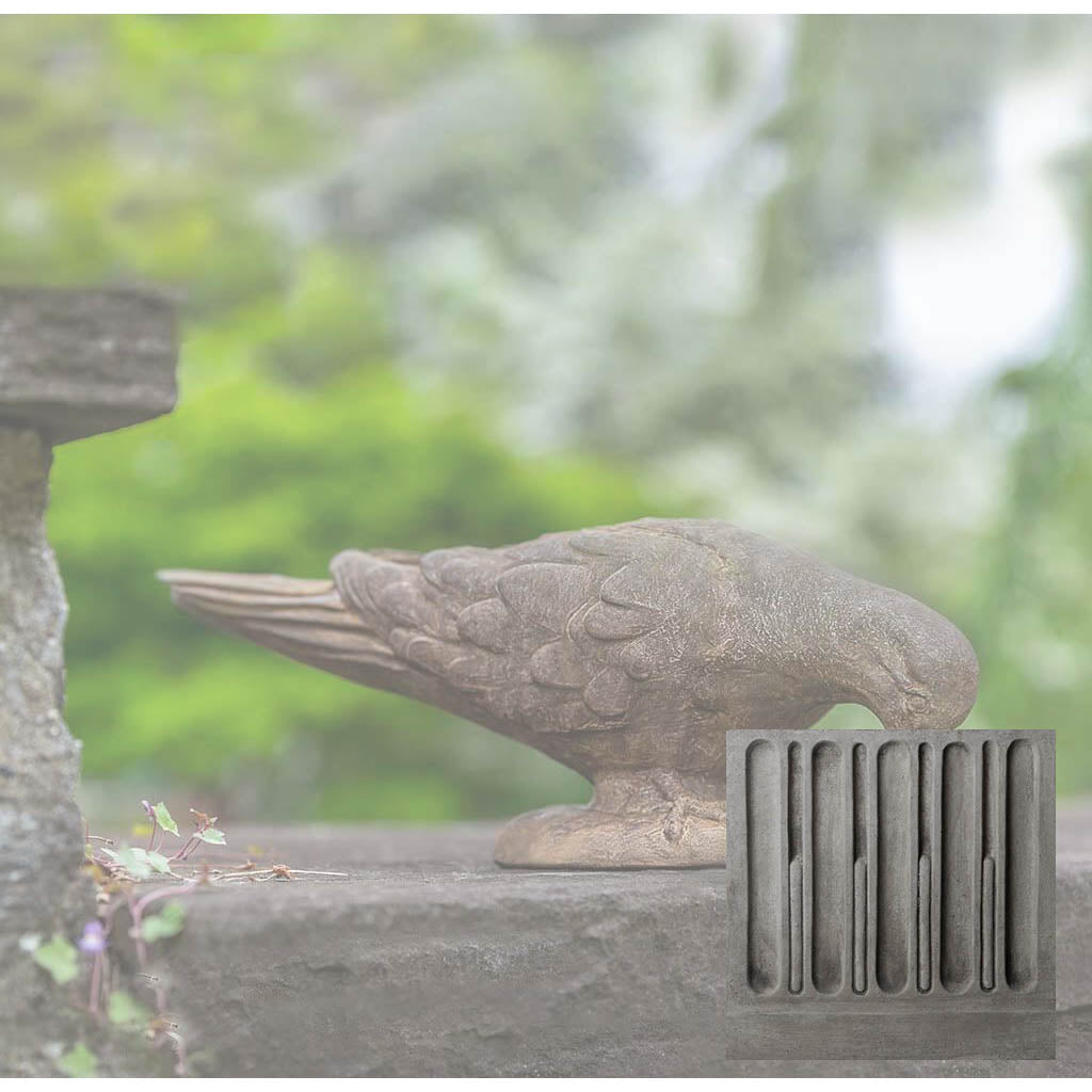 French Dove
